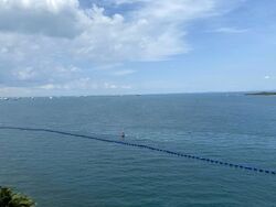 The Oceanfront @ Sentosa Cove (D4), Condominium #555420521